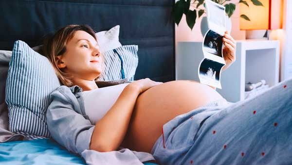 Ранние сроки беременности самый уязвимый период развития плода