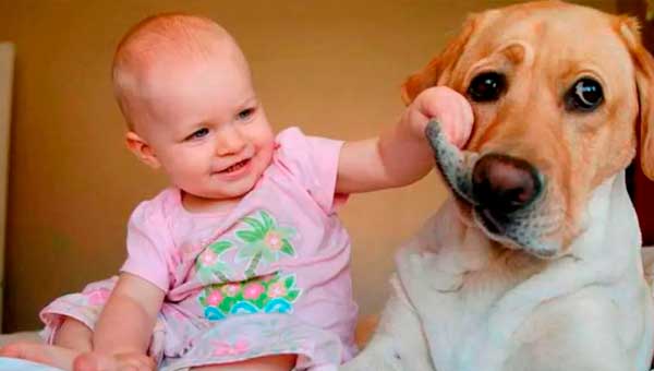 Представители животного мира развивают у малыша важные черты характера